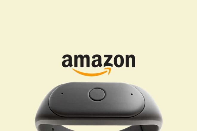 Image d'illustration. Amazon Bee