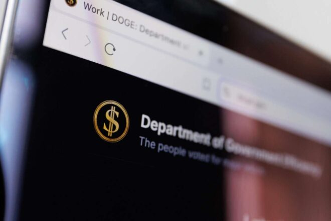 Department of Government Efficiency