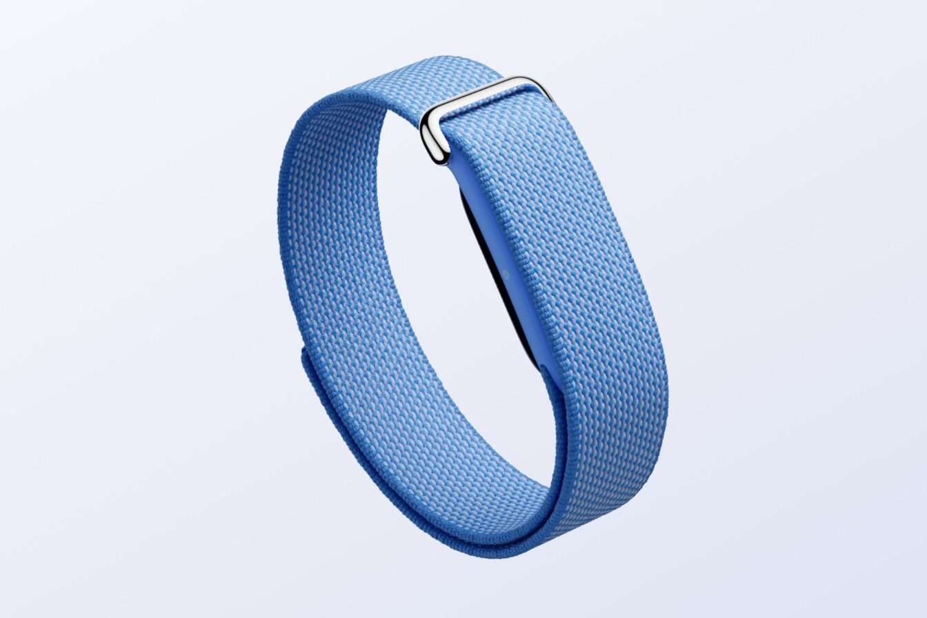 Google fitbit air